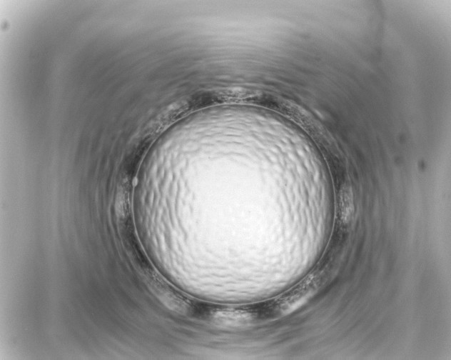 X0000087690515200705251712