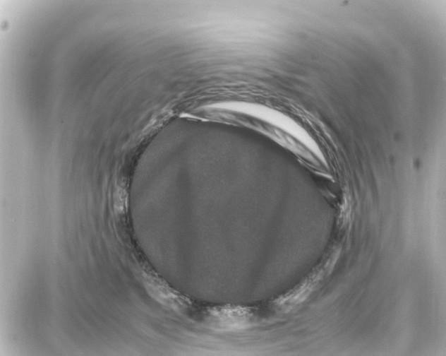X0000087690517200705251712