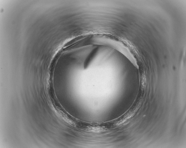 X0000087690540200705251711