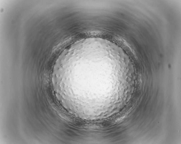X0000087690545200705251711
