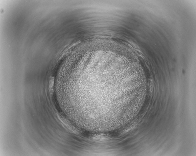 X0000087690550200705251711