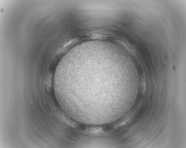 X0000087690554200705251711