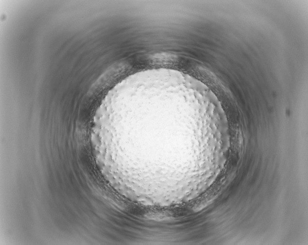 X0000087690557200705251711