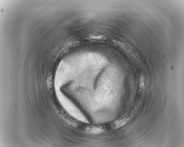 X0000087690559200705251711