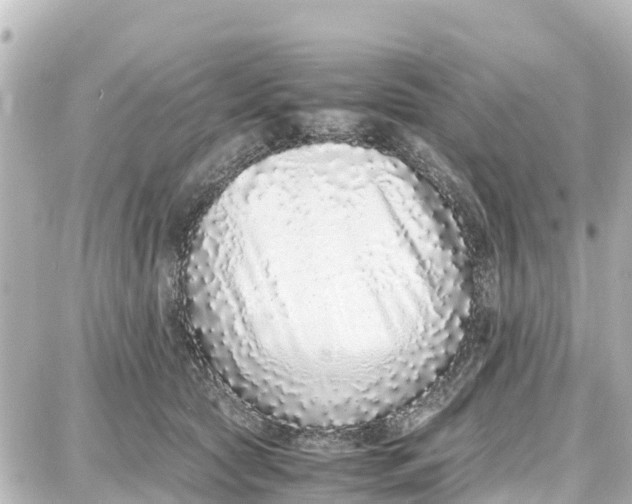 X0000087690561200705251711