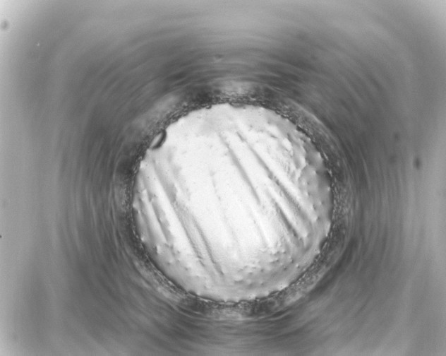 X0000087690565200705251711