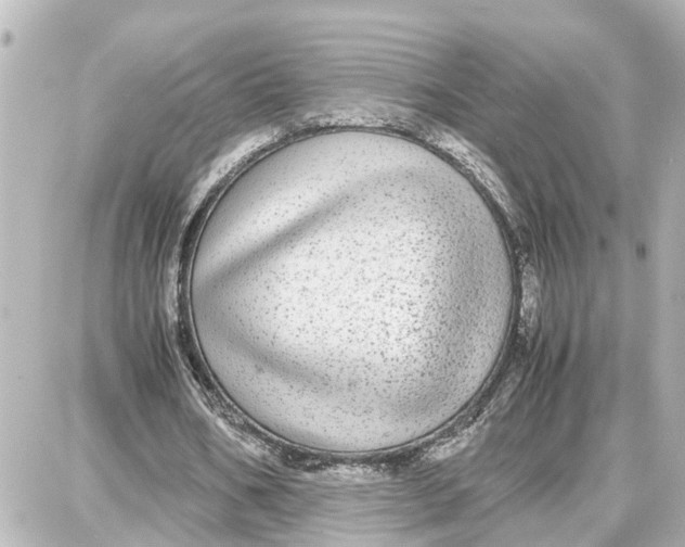 X0000087690578200705251711