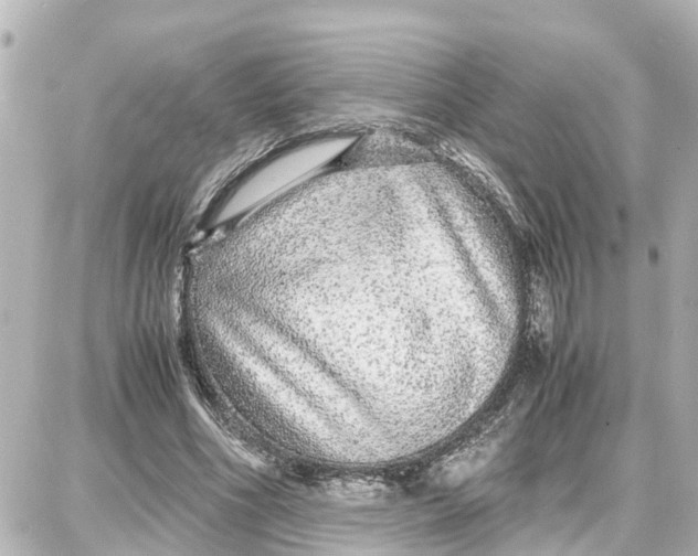 X0000087690586200705251711
