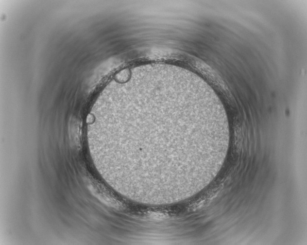 X0000087690592200705251710