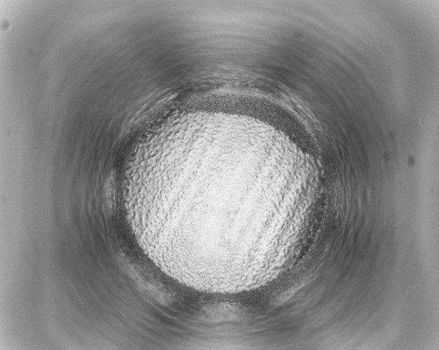 X0000087690594200705251710