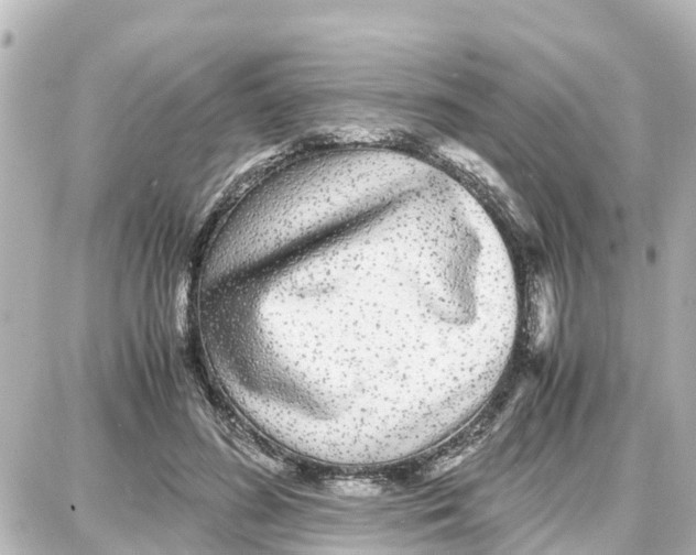 X0000087690596200705251710