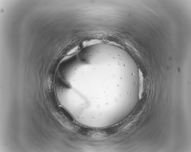 X0000087690597200705251710