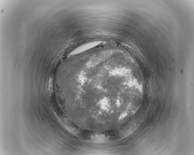 X0000087690598200705251710