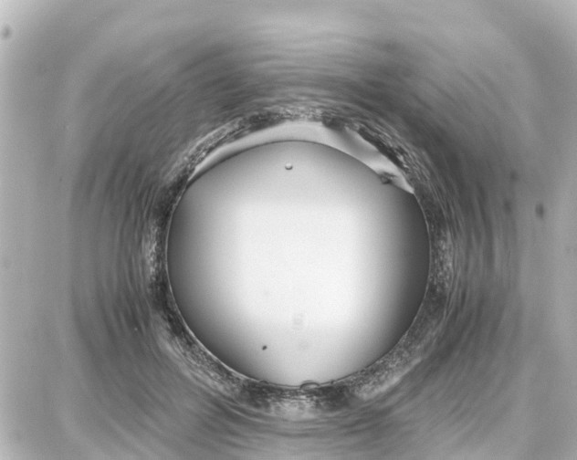 X0000087690600200705251710