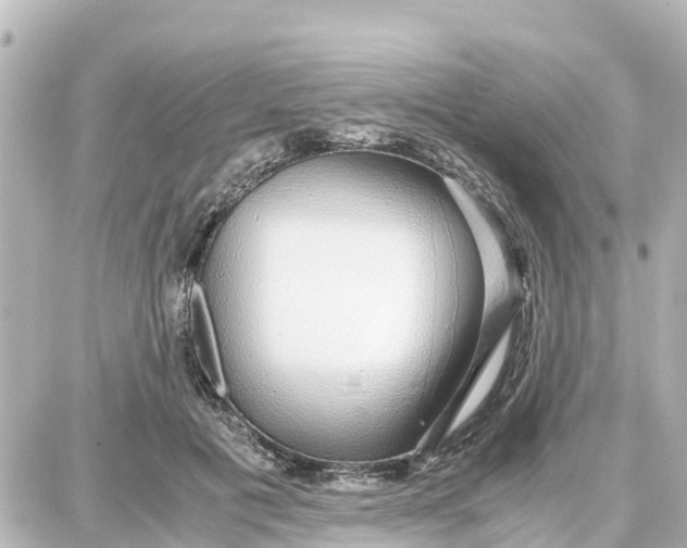 X0000087690601200705251710