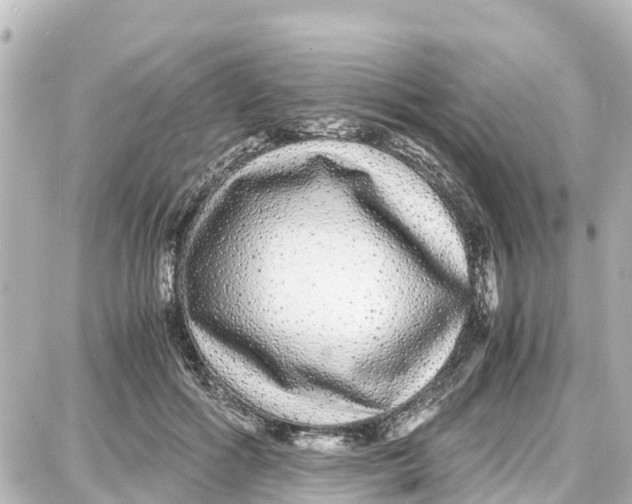 X0000087690602200705251710