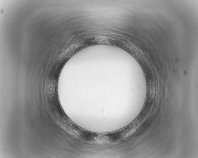 X0000087690603200705251710