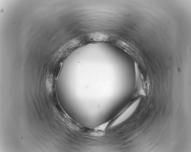 X0000087690604200705251710