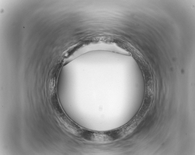 X0000087690605200705251710