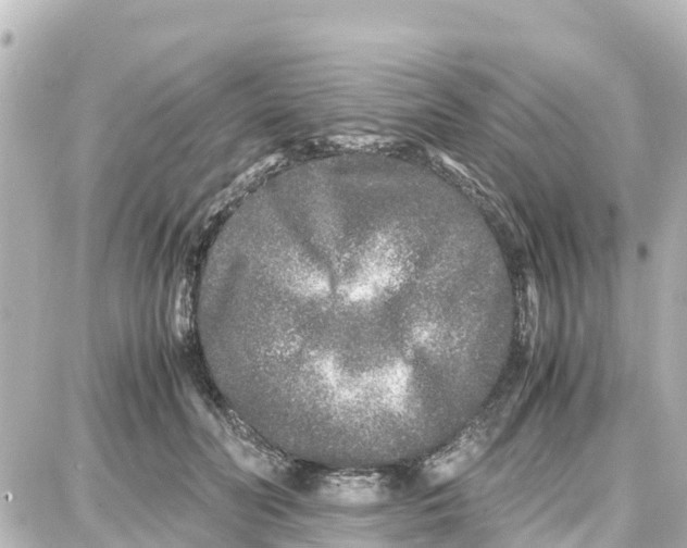 X0000087690606200705251710