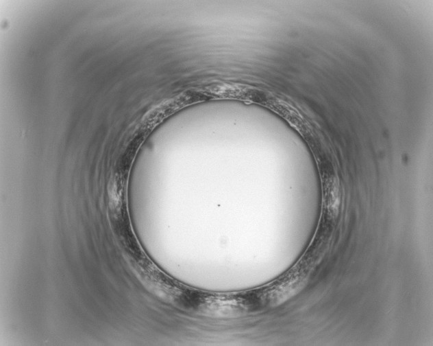 X0000087690607200705251710