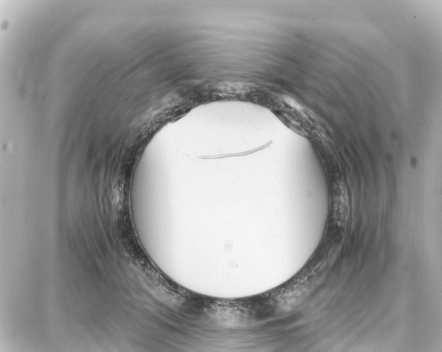 X0000087690608200705251710