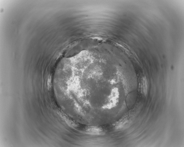 X0000087690610200705251710