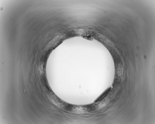 X0000087690611200705251710