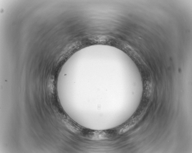 X0000087690612200705251710