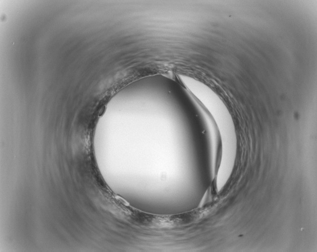 X0000087690613200705251710