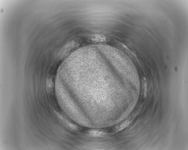 X0000087690614200705251710