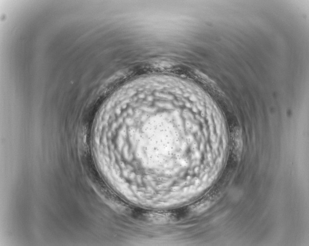 X0000087690615200705251710