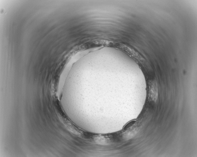 X0000087690616200705251710