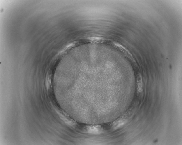 X0000087690618200705251710