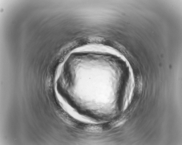 X0000087690619200705251710