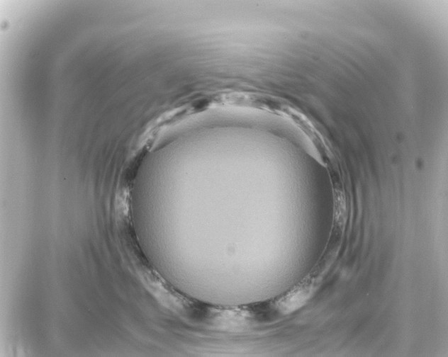 X0000087690621200705251710