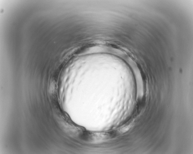 X0000087690623200705251710