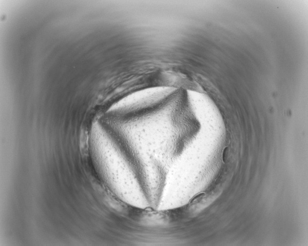 X0000087690624200705251710