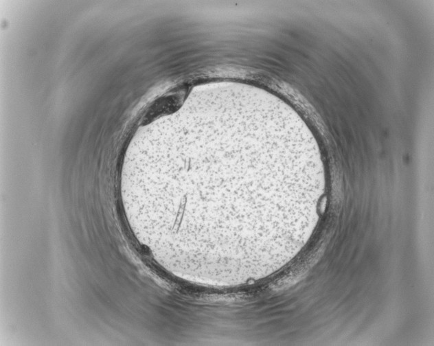 X0000087690625200705251709