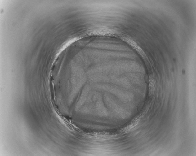 X0000087690626200705251709