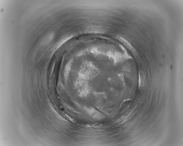 X0000087690627200705251709