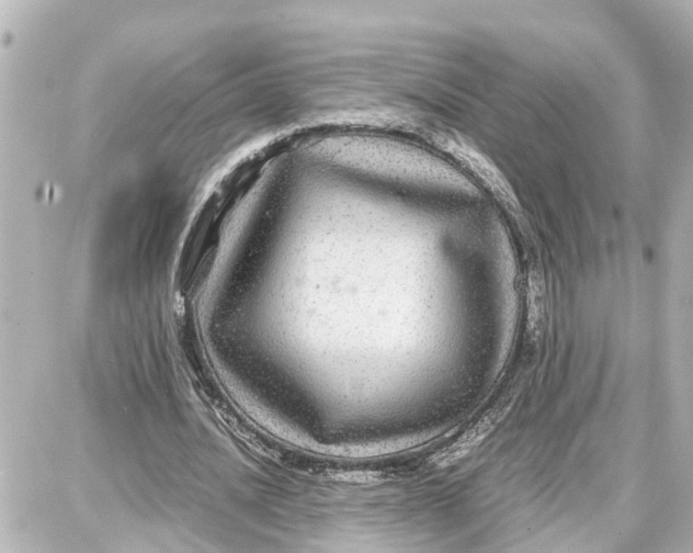 X0000087690628200705251709