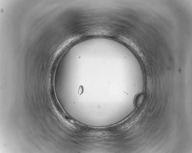 X0000087690629200705251709