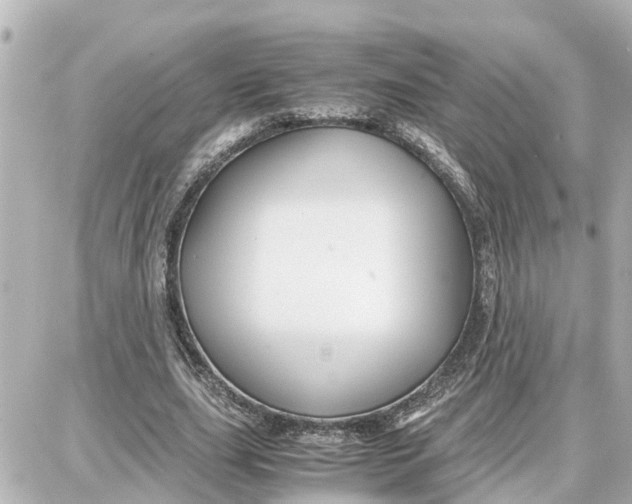 X0000087690631200705251709