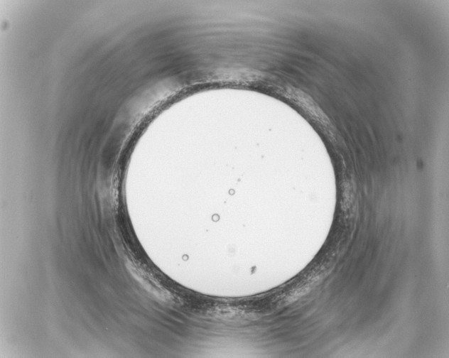 X0000087690632200705251709