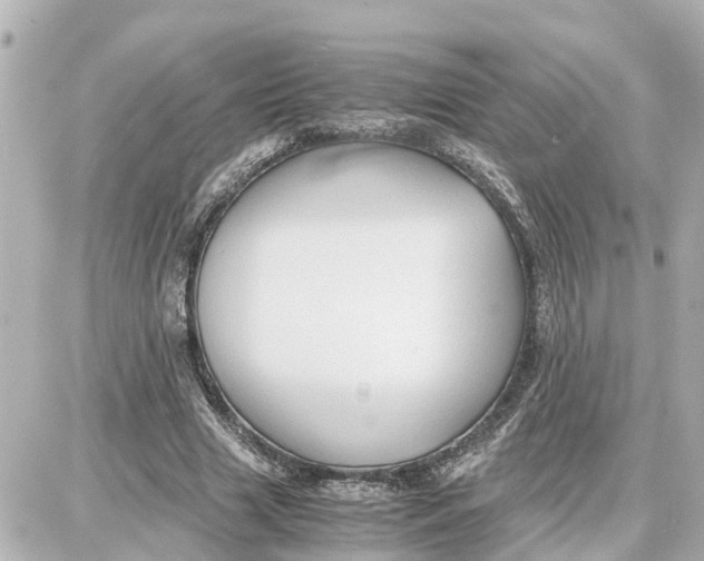 X0000087690633200705251709