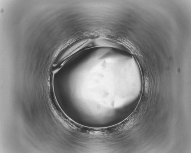 X0000087690634200705251709