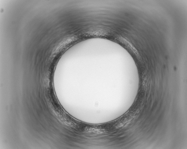 X0000087690635200705251709