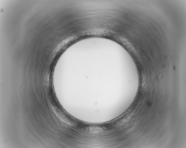 X0000087690636200705251709