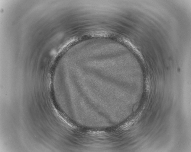 X0000087690637200705251709